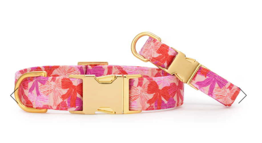 Take a Bow Dog Collar