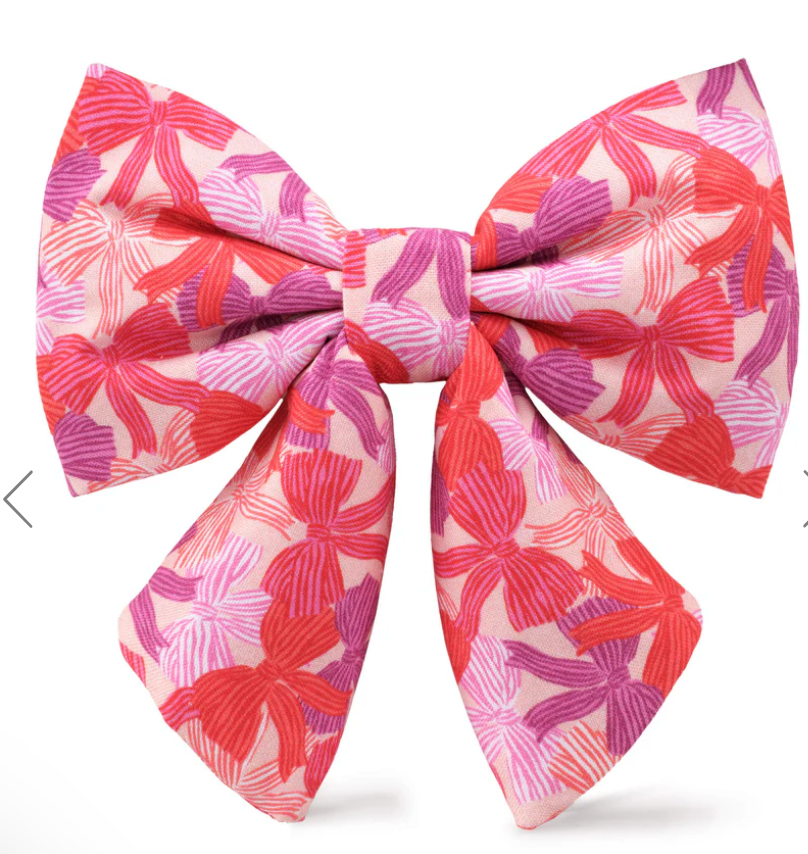 Take a Bow Lady Dog Bow