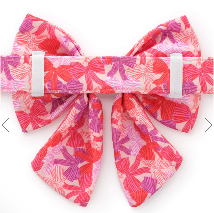 Take a Bow Lady Dog Bow