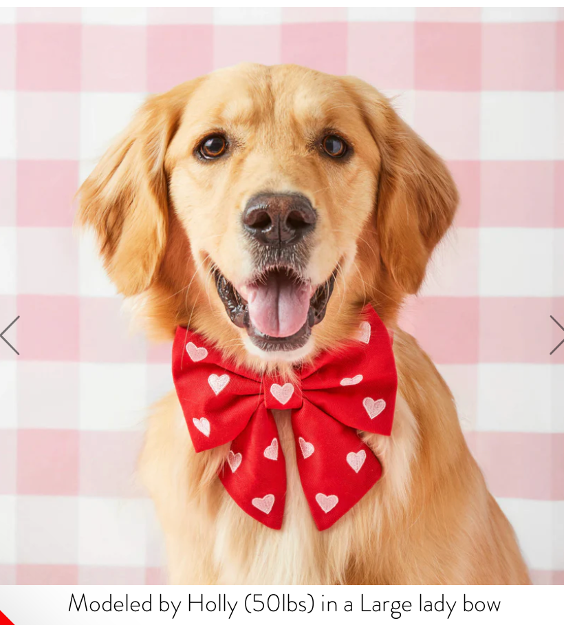 Hearts Embroidered Lady Dog Bow