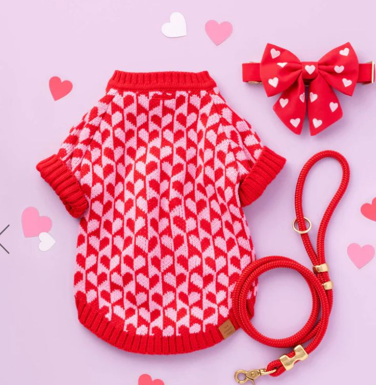 Heart Stripe Dog Sweater