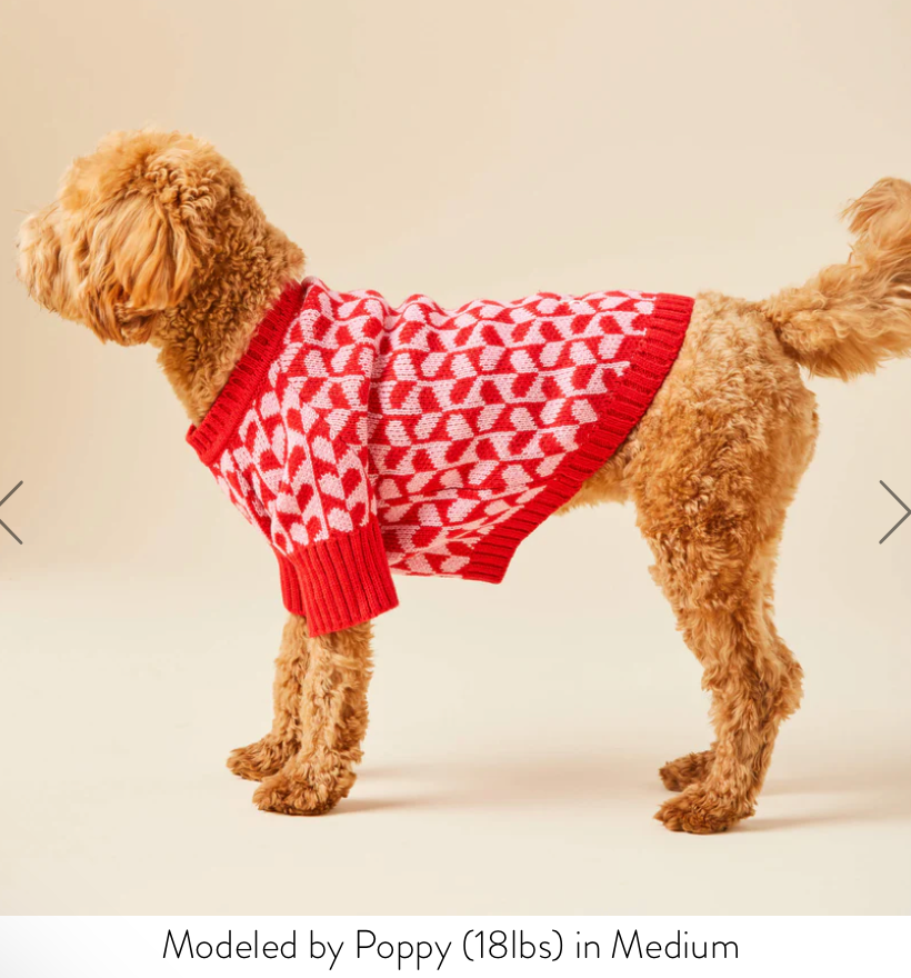 Heart Stripe Dog Sweater
