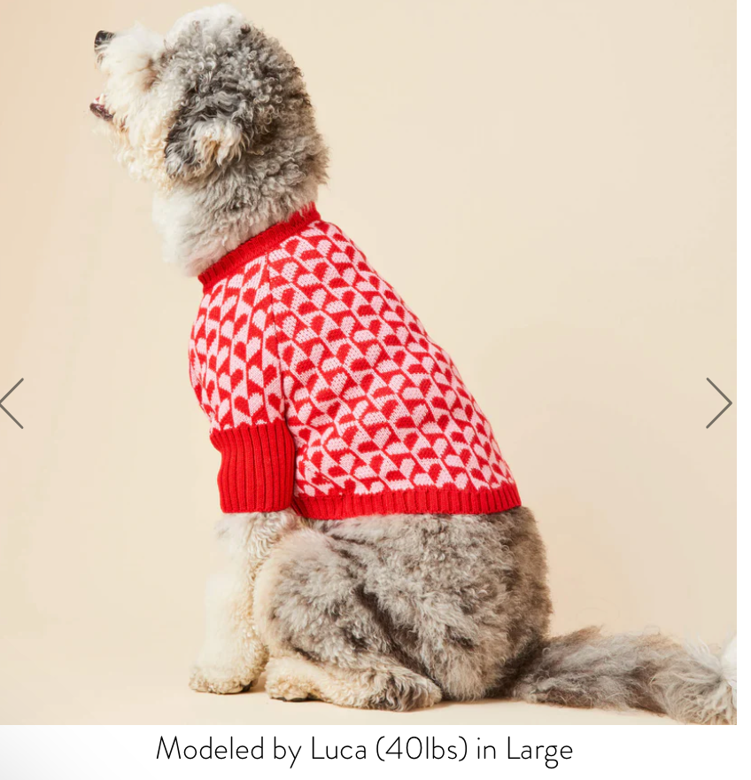 Heart Stripe Dog Sweater