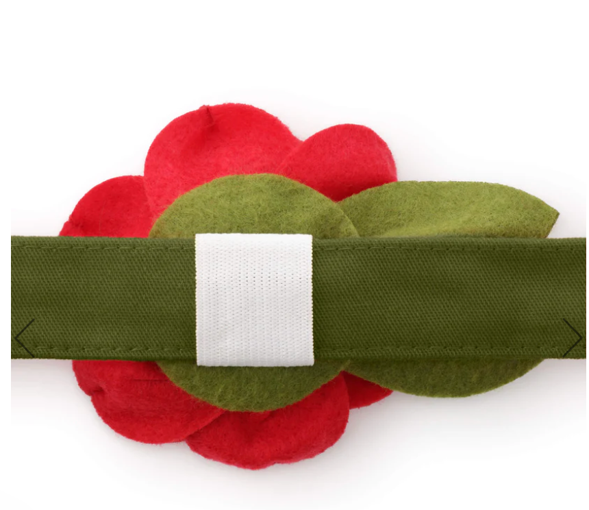 Red Rose Dog Collar Flower