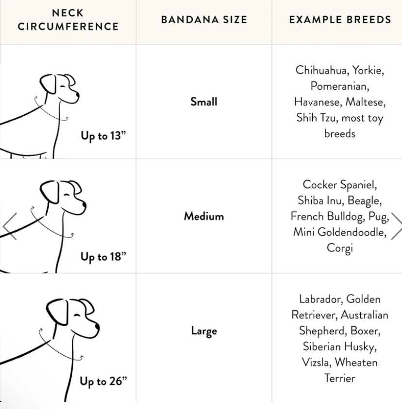 Take a Bow Dog Bandana