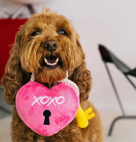 Love Bug Love You A Lock dog toy
