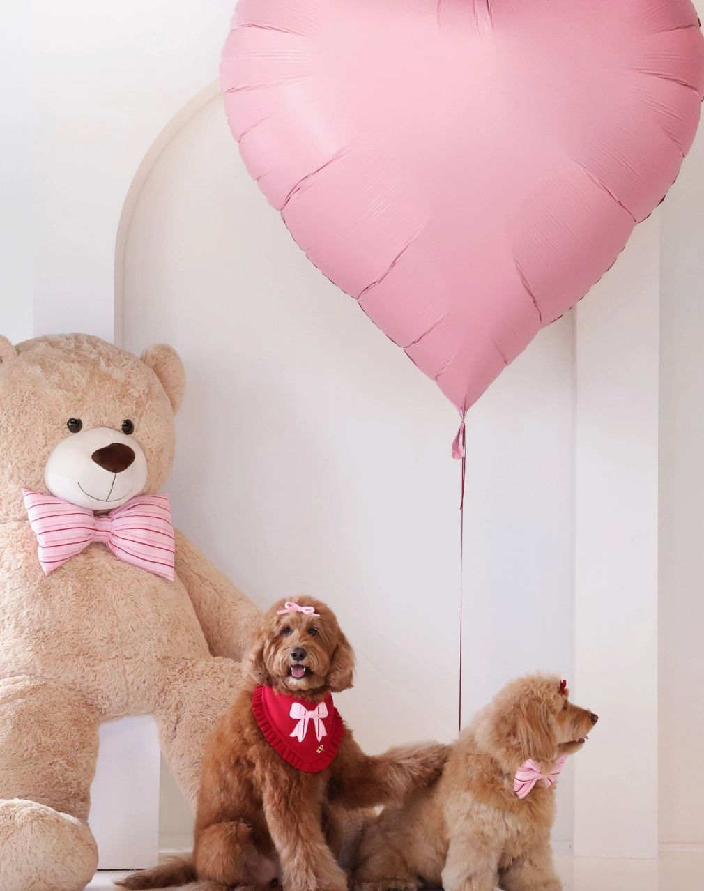 Sweetheart Stripe dog  bandana