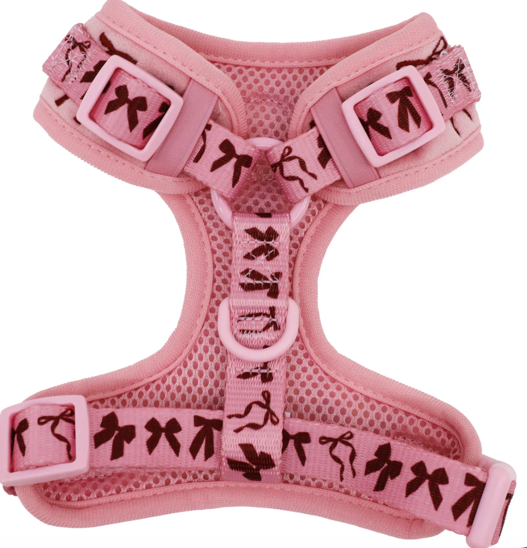 Velvet Blush Bows adjustable dog harness