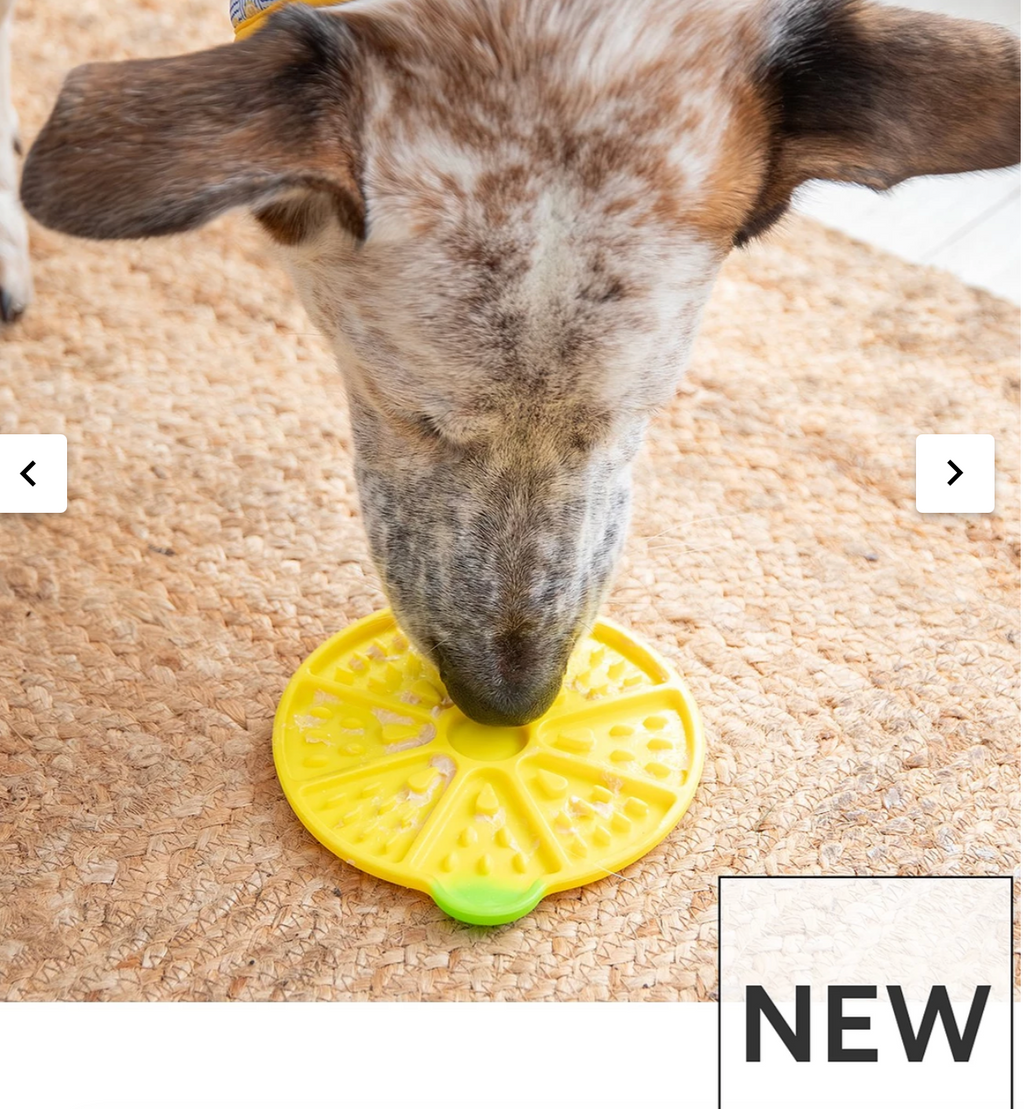 Lemon dog lick Mat
