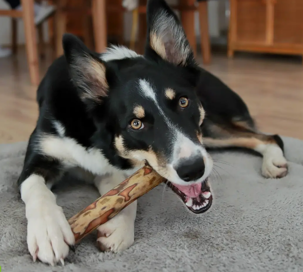 Olivewood Dog Chews