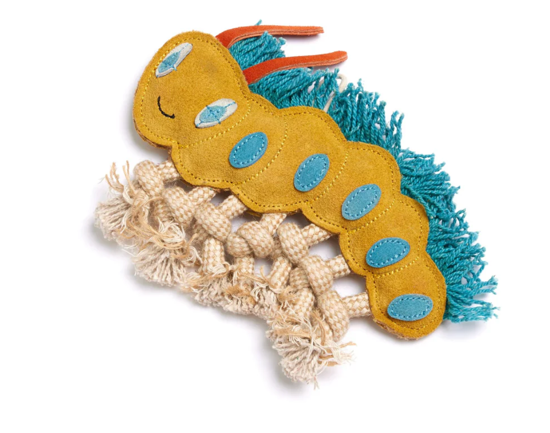 Clara the caterpillar eco dog toy