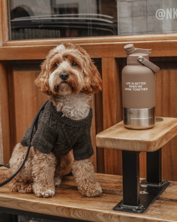 The Bowl Bottle | 3-in-1 Travel Bottle