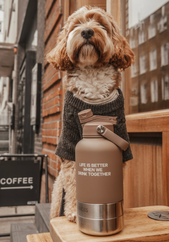 The Bowl Bottle | 3-in-1 Travel Bottle