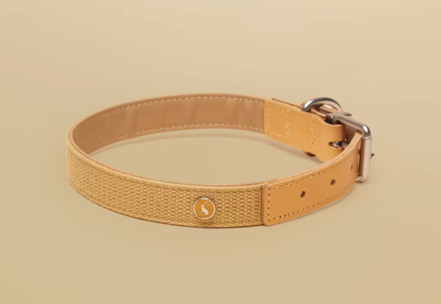 Joules -tan dog collar