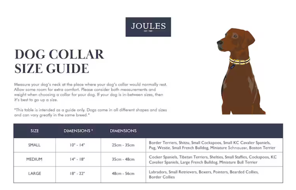 Joules -tan dog collar