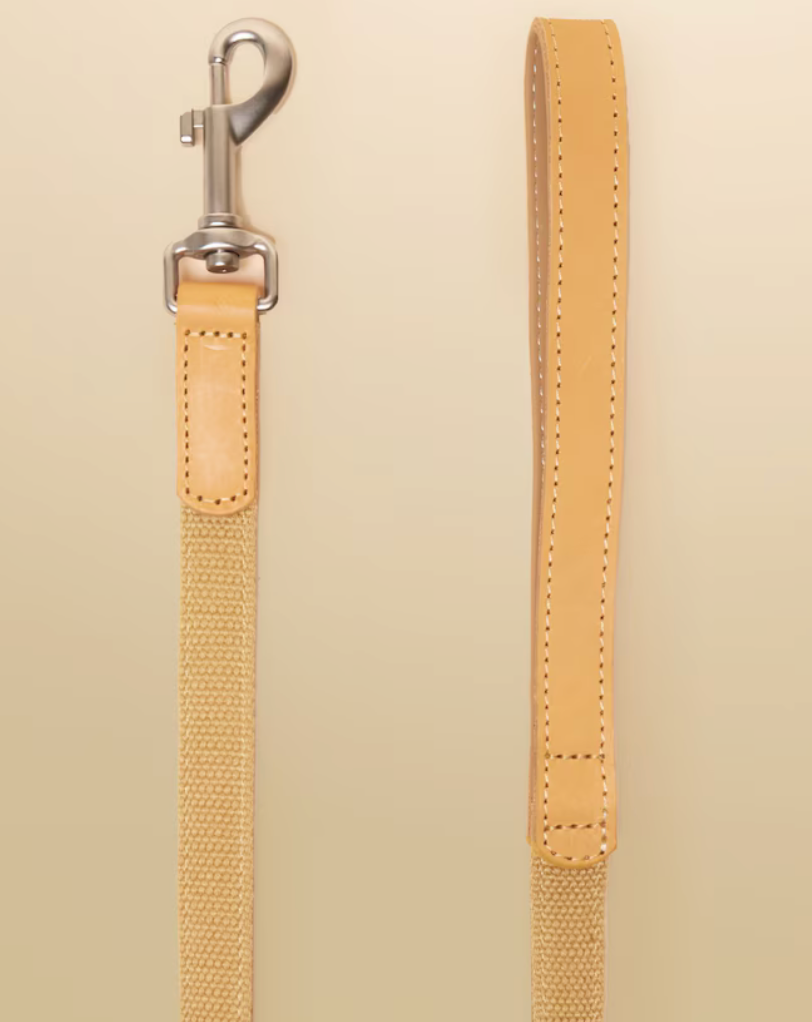 Joules-tan dog  lead