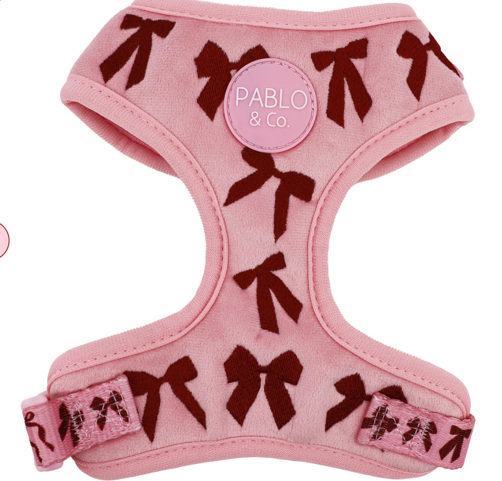 Velvet Blush Bows adjustable dog harness