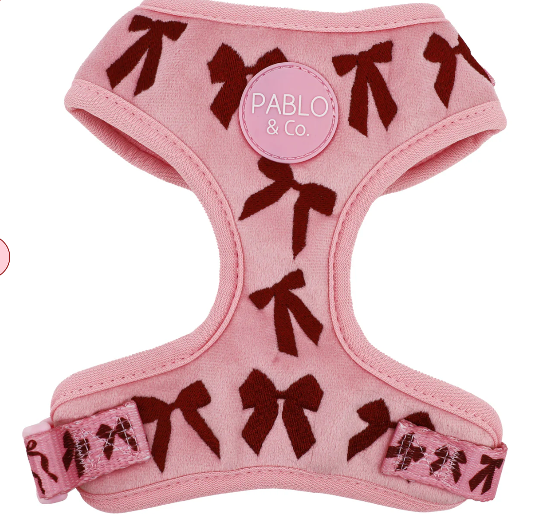 Velvet Blush Bows adjustable dog harness