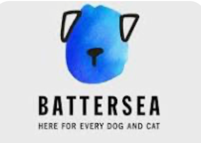 Daisy x Battersea