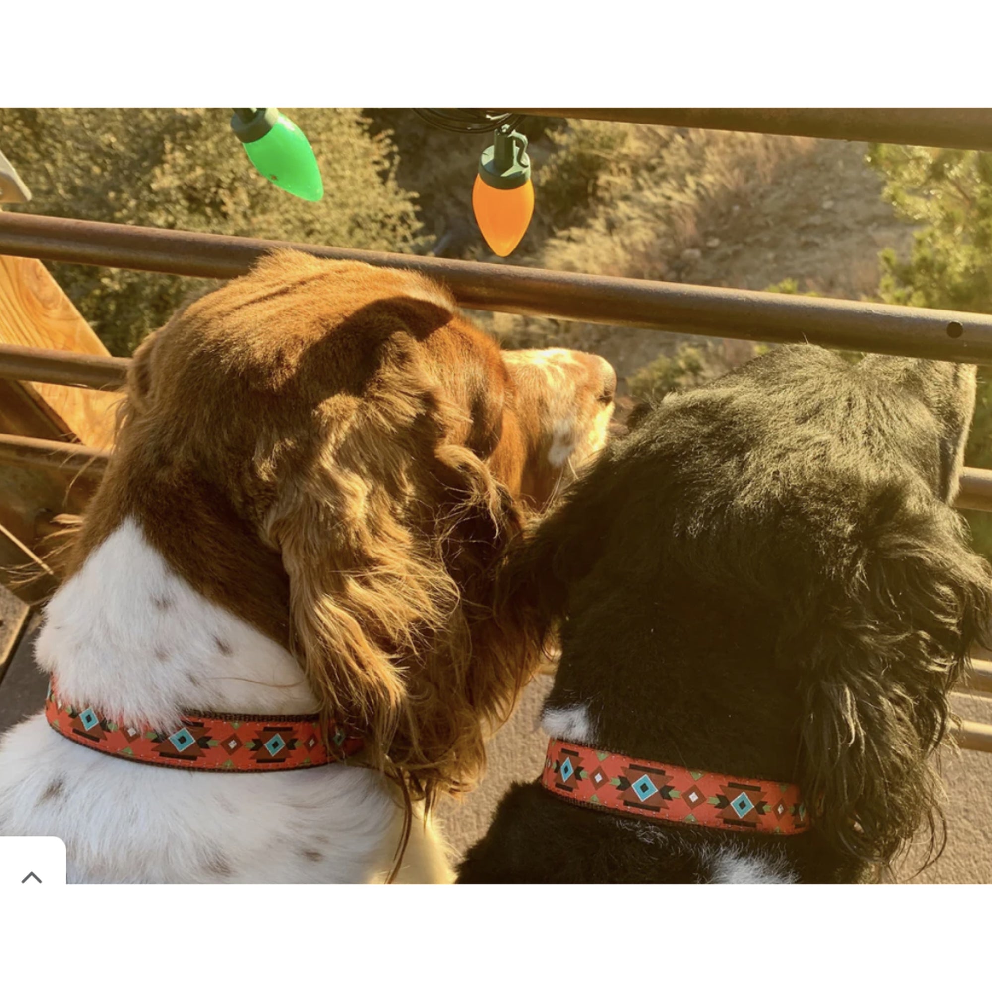 Sedona dog collar