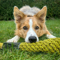 Delilah the Duckess dog toy