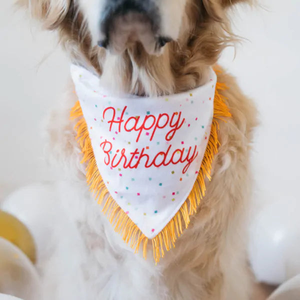 Birthday bandana & bone pack for dogs