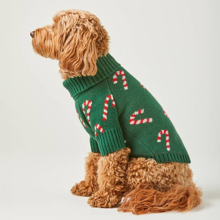 Candy Cane holiday jumper