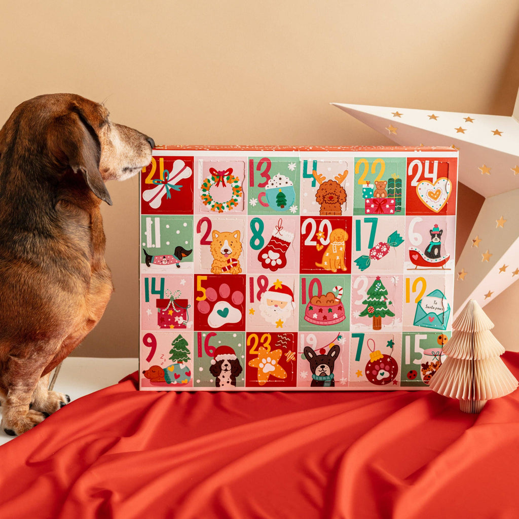 Christmas Biscuit Advent Calendar for Dogs