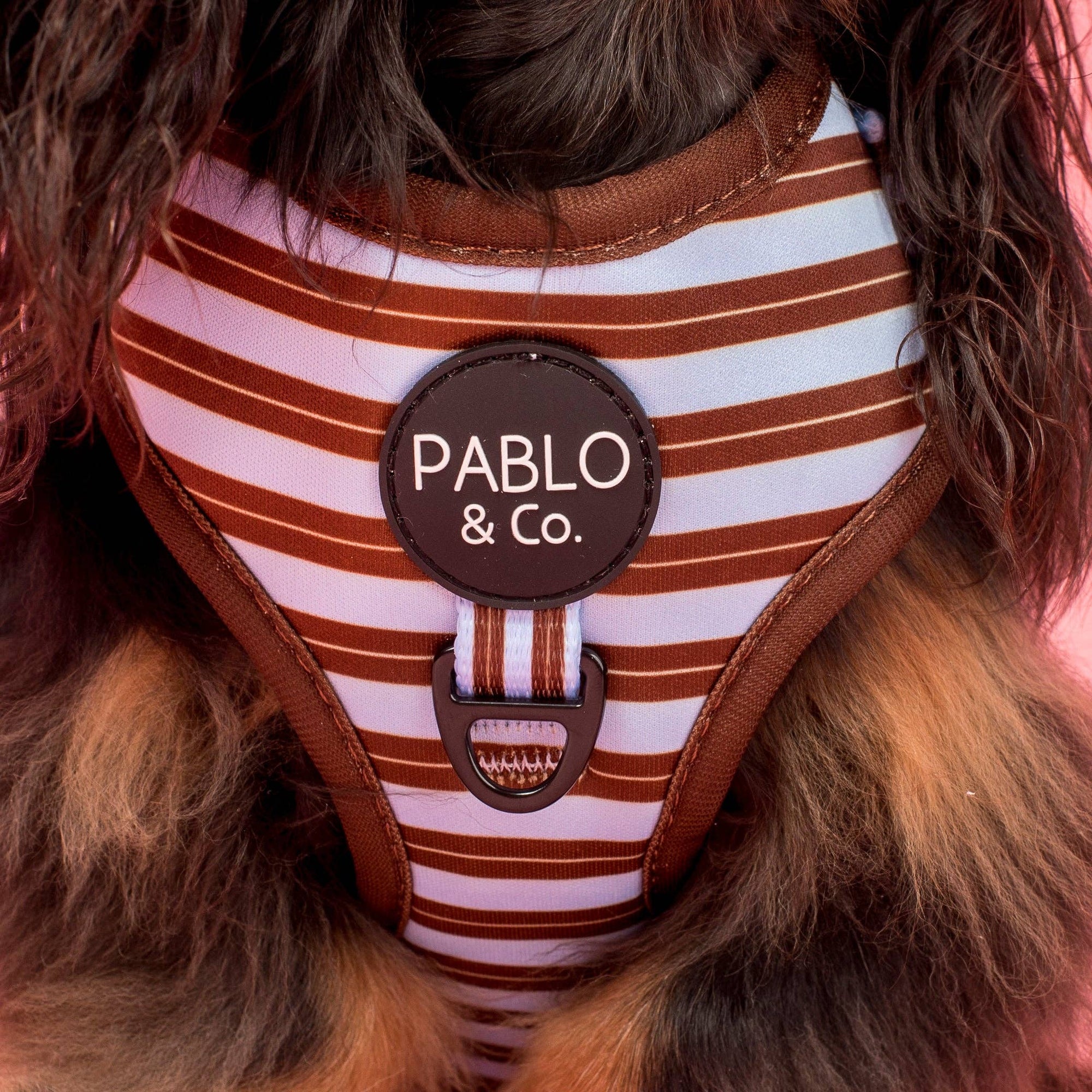 Sunday Stripes: Adjustable Dog Harness