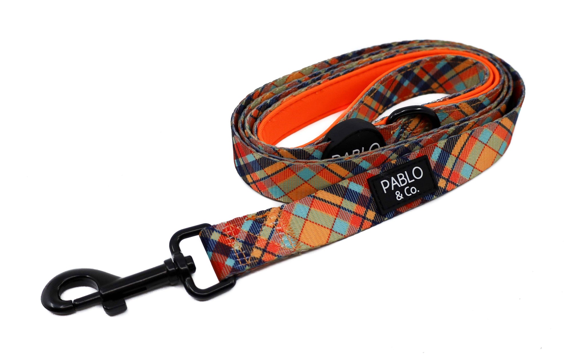 Tartan: DOG LEASH