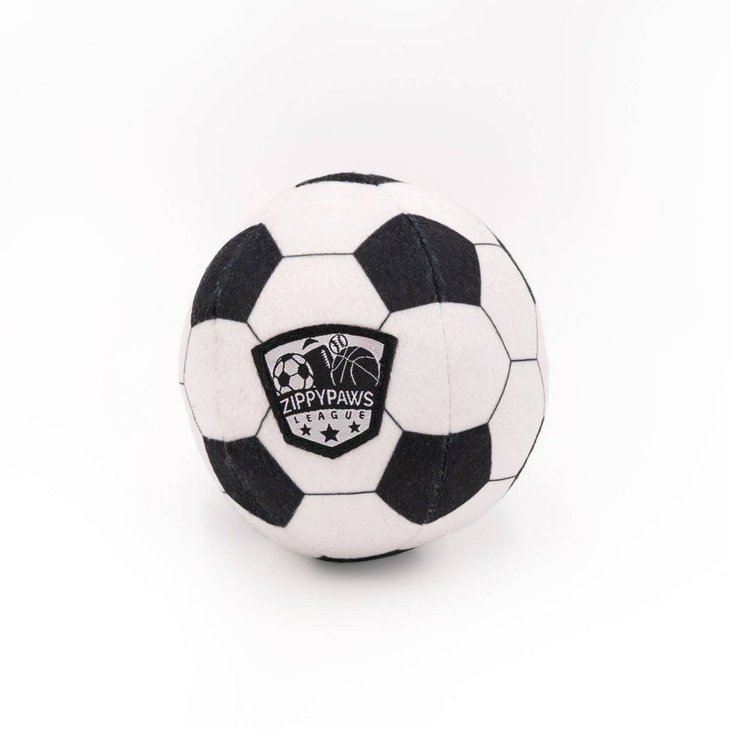 SportsBallz - Football- Dog Toy