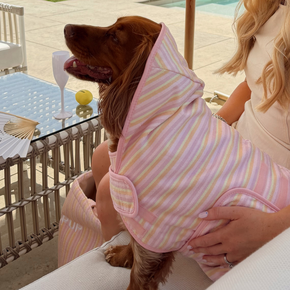 Pastel Stripes Drying Dog Robe