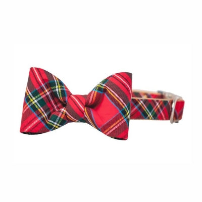 Scottish tartan bow tie  dog collar