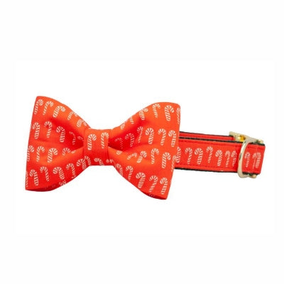 Candy Lane bow tie dog collar