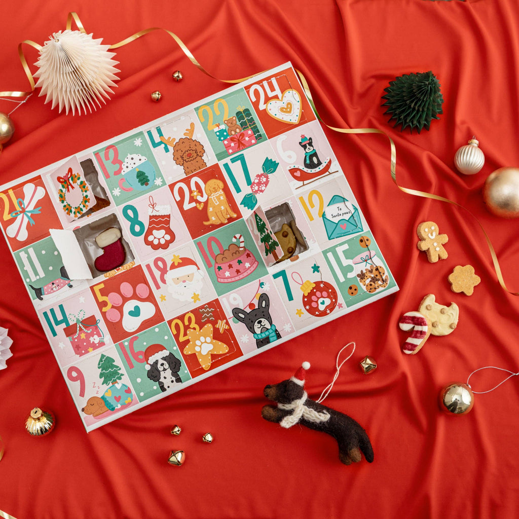Christmas Biscuit Advent Calendar for Dogs