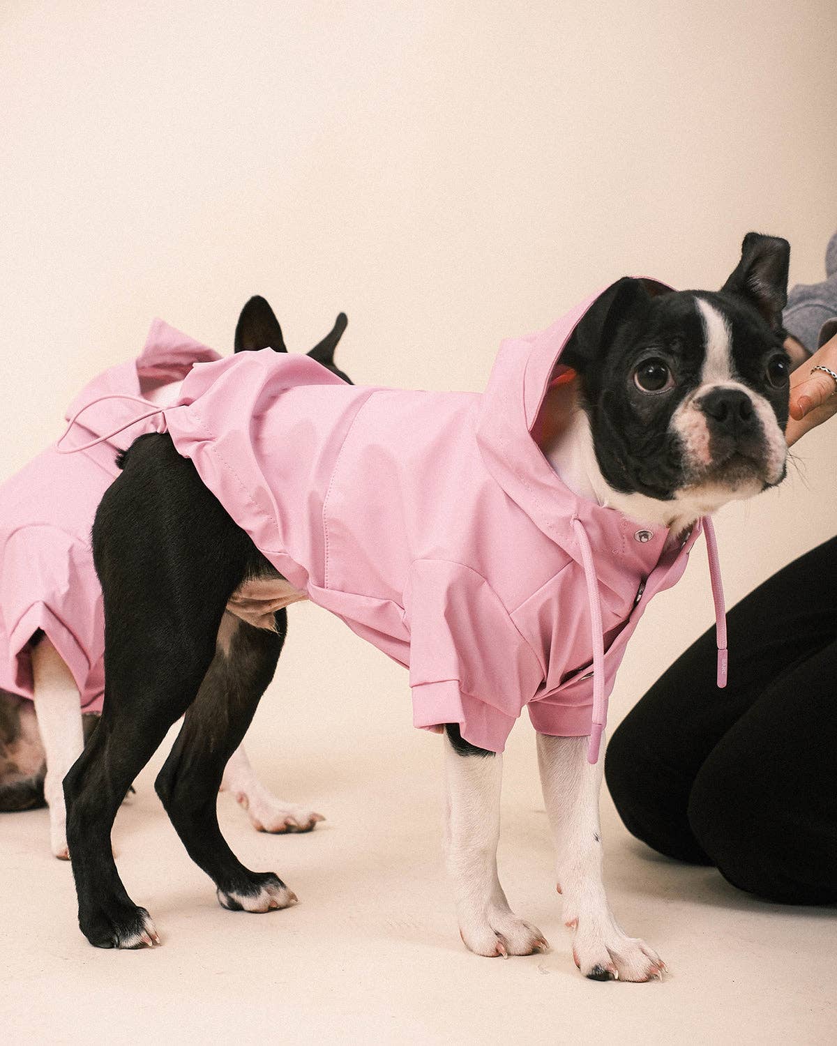 Pink Dog Raincoat