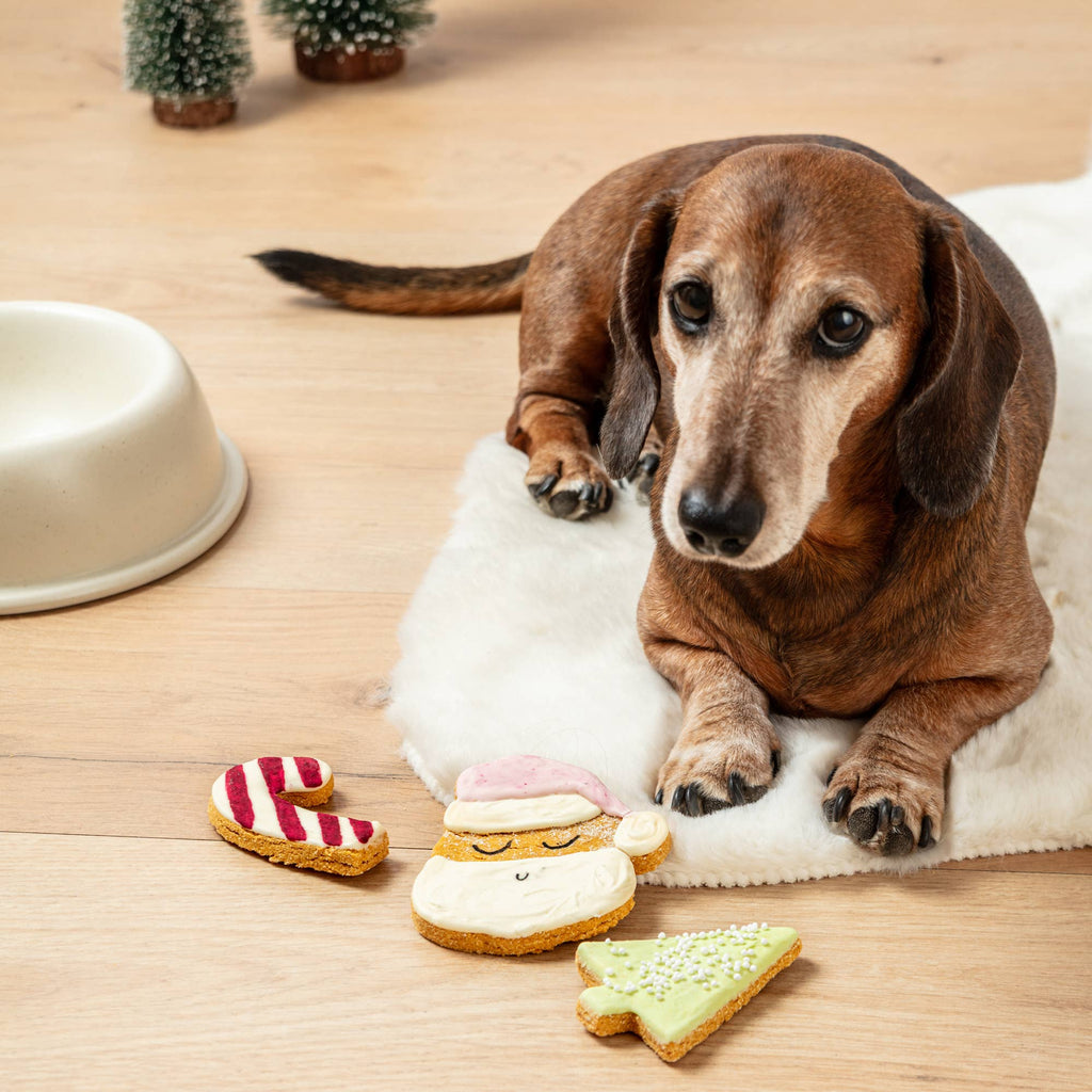 Christmas Iced Dog Biscuit Trio