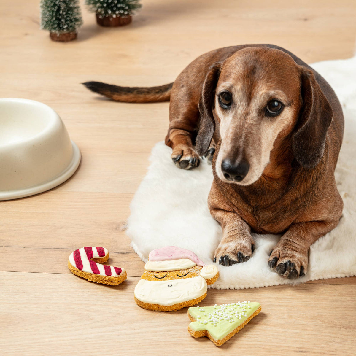 Christmas Iced Dog Biscuit Trio