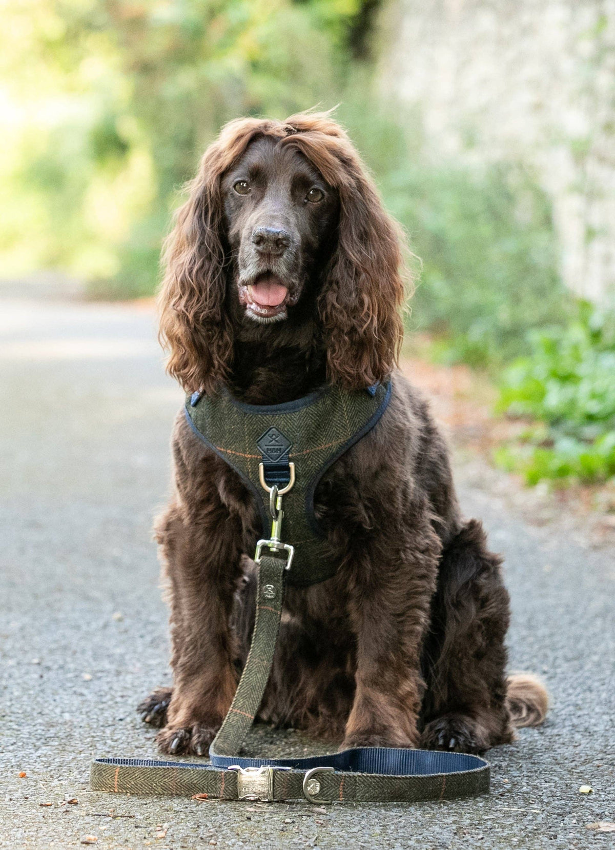 Hackett x Hugo Hudson Dark Green Checked Tweed Dog Lead
