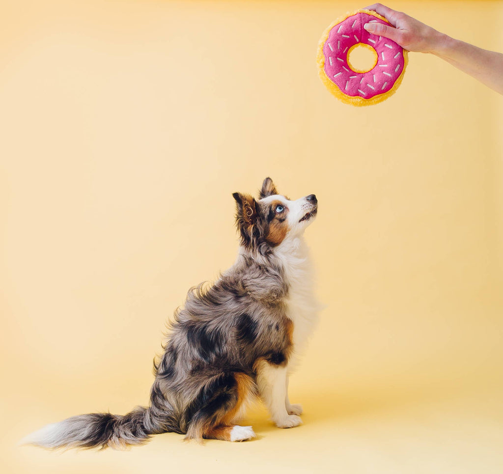 Junior Donutz - Strawberry - Large Dog Toy