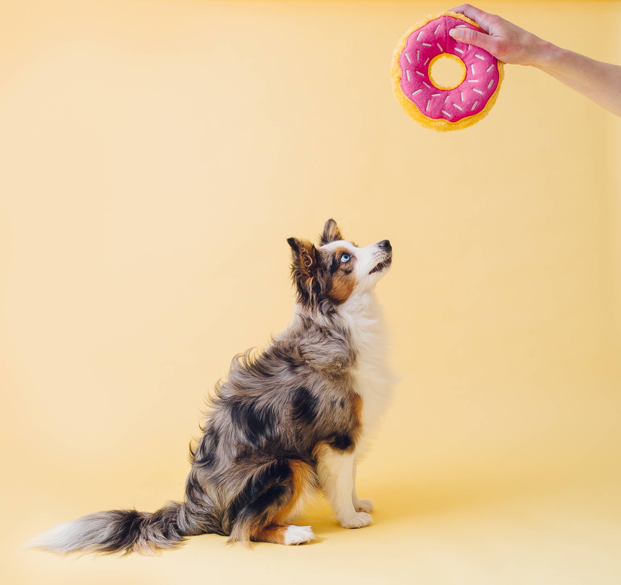 Junior Donutz - Strawberry - Large Dog Toy
