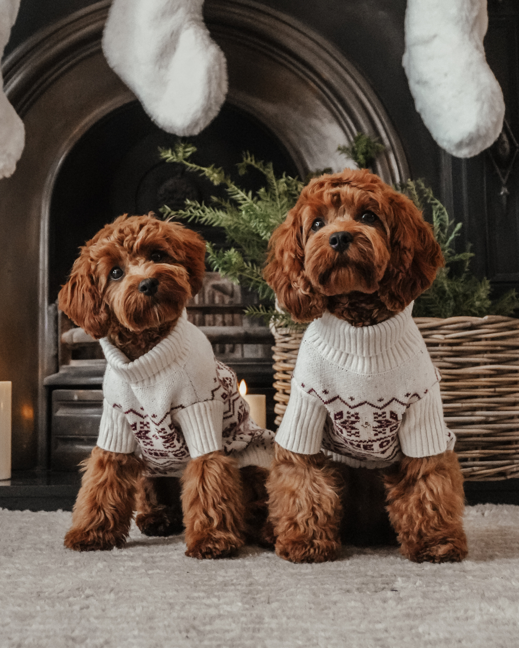 Snowberry | Après Ski Roll Neck Knit