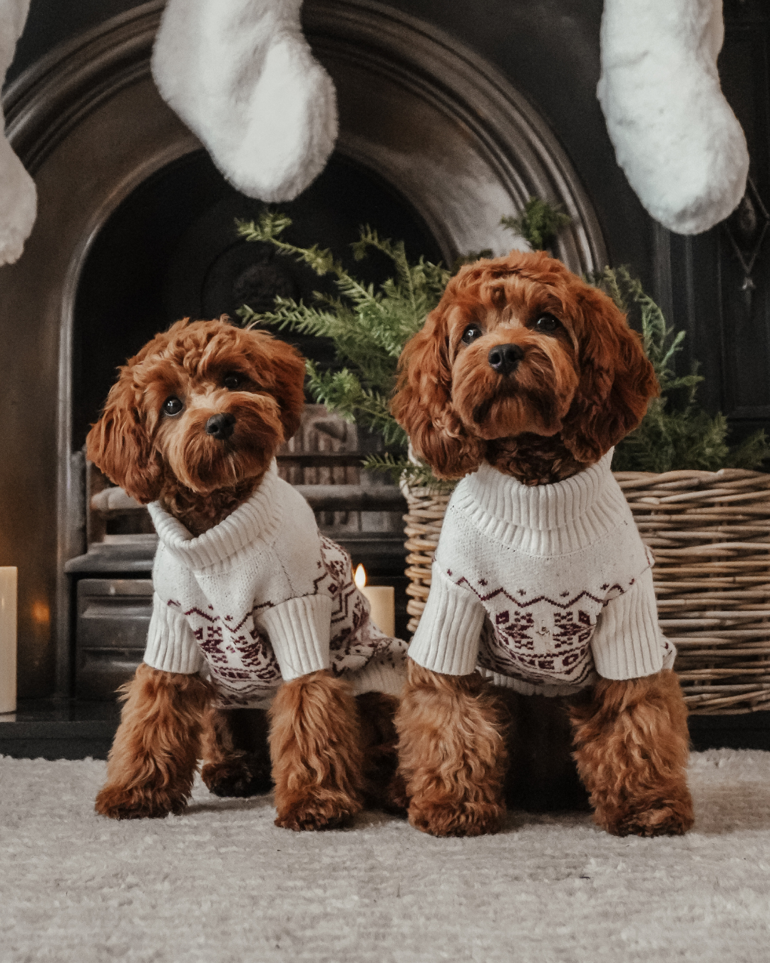 Snowberry | Après Ski Roll Neck Knit