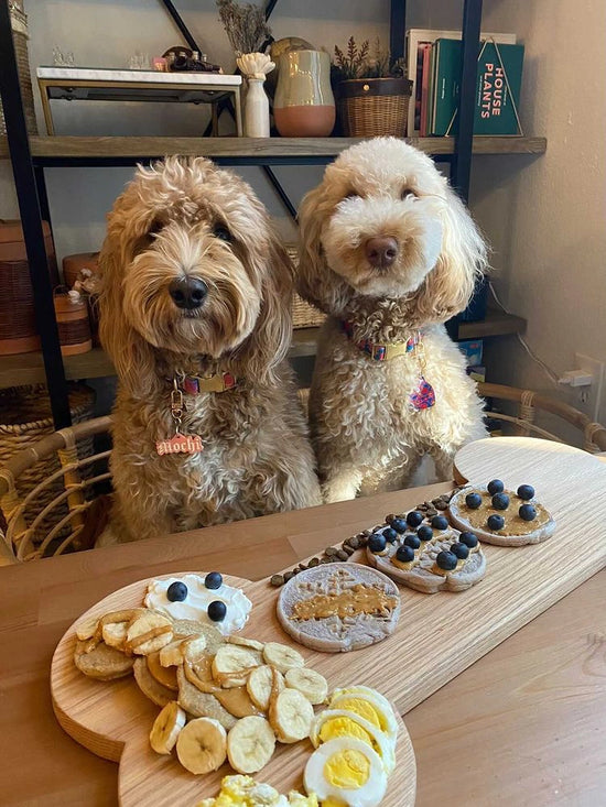 SUPERBERRY SNOOT POOCH PANCAKES