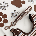 Brown & Blue Stripes Dog Lead