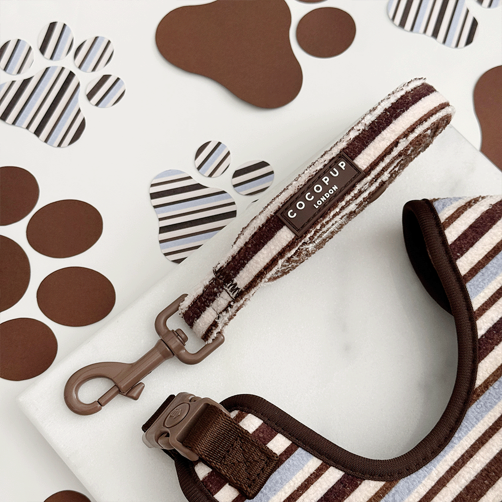 Brown & Blue Stripes Dog Lead