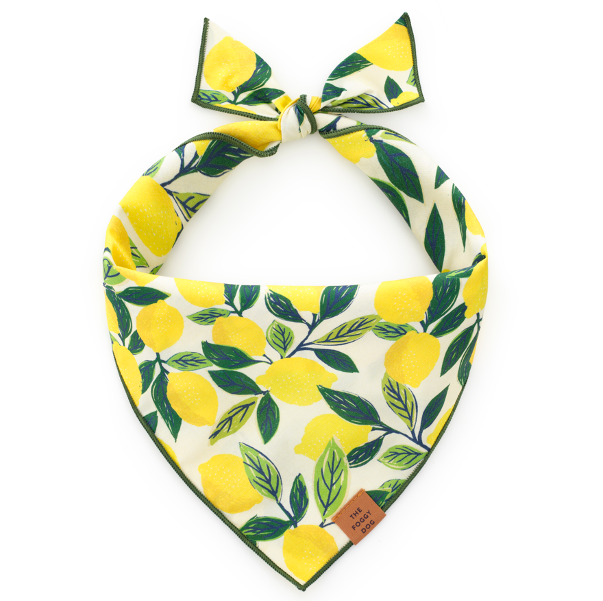 Lemon Zest Dog Bandana