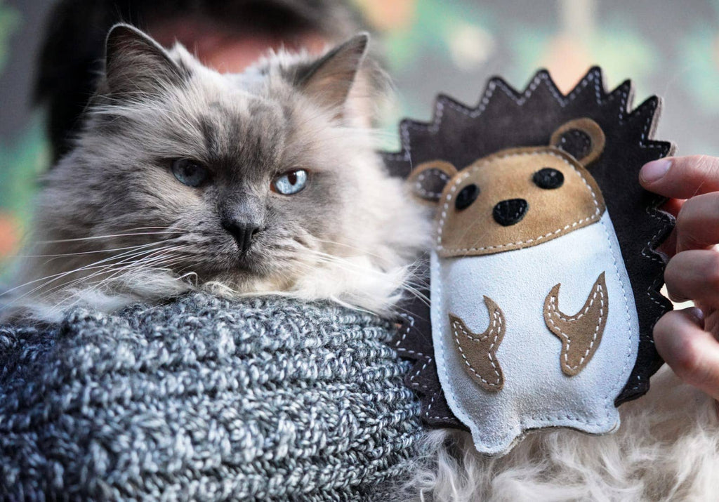 Bramble the Hedgehog (Cat Nip Infused) Eco Dog and Cat Toy