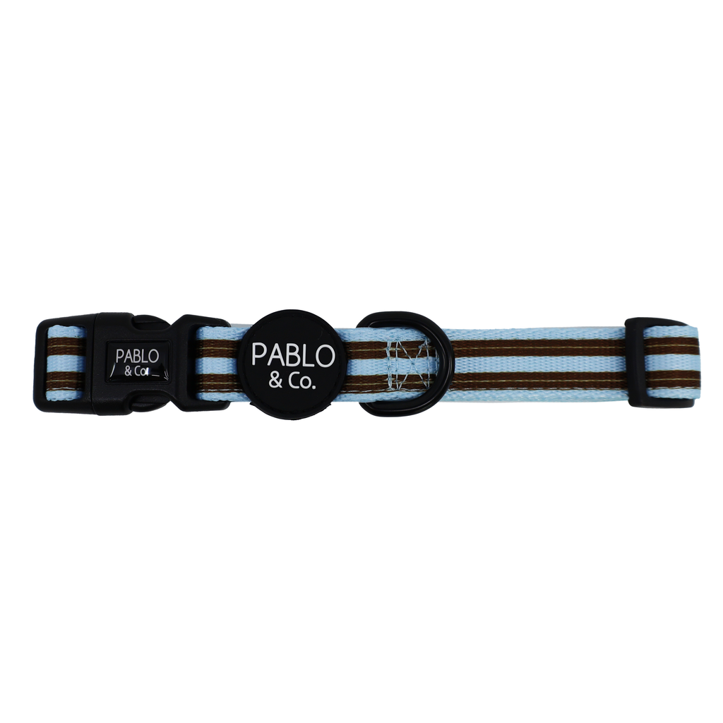 Sunday Stripes: Dog Collar
