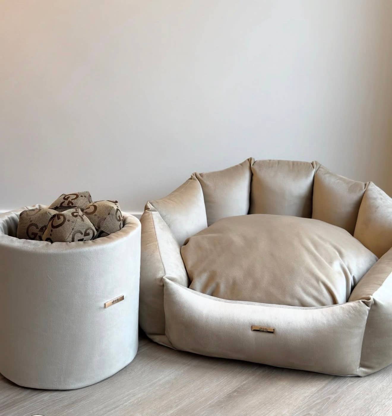 Shell Teddy Dog Be Gold Velvet